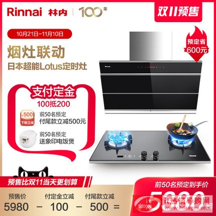 Rinnai/æž—å†…JD02G+2E01LTä¾å¸¿‘å¸å¼æŠ½æ21çƒŸæœoç‡ƒæ”ç¶çƒŸç¶å—…å®¶ç”